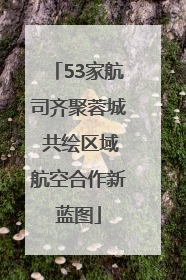53家航司齐聚蓉城 共绘区域航空合作新蓝图