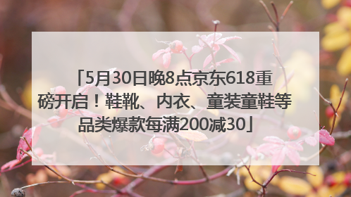 5月30日晚8点京东618重磅开启！鞋靴、内衣、童装童鞋等品类爆款每满200减30