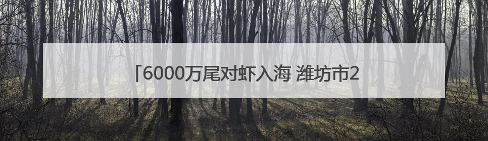 6000万尾对虾入海 潍坊市2025年增殖放流活动拉开帷幕