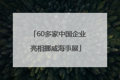 60多家中国企业亮相挪威海事展