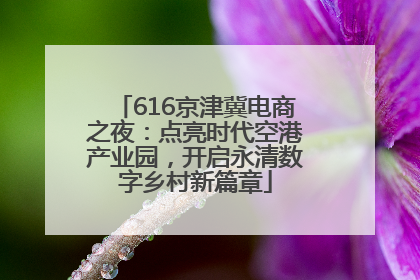 616京津冀电商之夜：点亮时代空港产业园，开启永清数字乡村新篇章