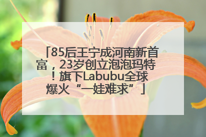 85后王宁成河南新首富，23岁创立泡泡玛特！旗下Labubu全球爆火“一娃难求”