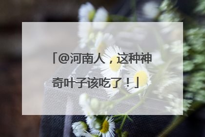 @河南人，这种神奇叶子该吃了！