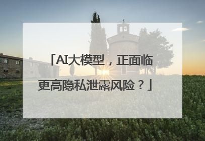 AI大模型，正面临更高隐私泄露风险？