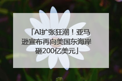 AI扩张狂潮！亚马逊宣布再向美国东海岸砸200亿美元