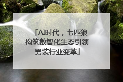 AI时代，七匹狼构筑数智化生态引领男装行业变革