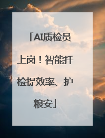 AI质检员上岗！智能扦检提效率、护粮安