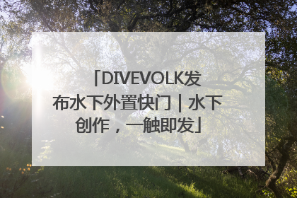 DIVEVOLK发布水下外置快门｜水下创作，一触即发