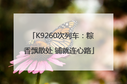K9260次列车：粽香飘散处 铺就连心路