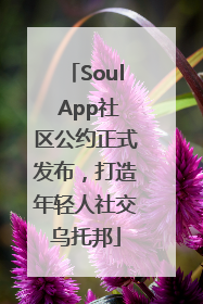Soul App社区公约正式发布，打造年轻人社交乌托邦